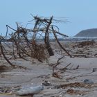 Insel Hiddensee stürmisch gut