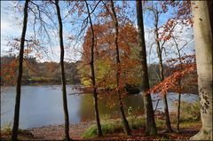 Insel hinter Gittern