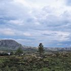 Insel Hitra in Norwegen