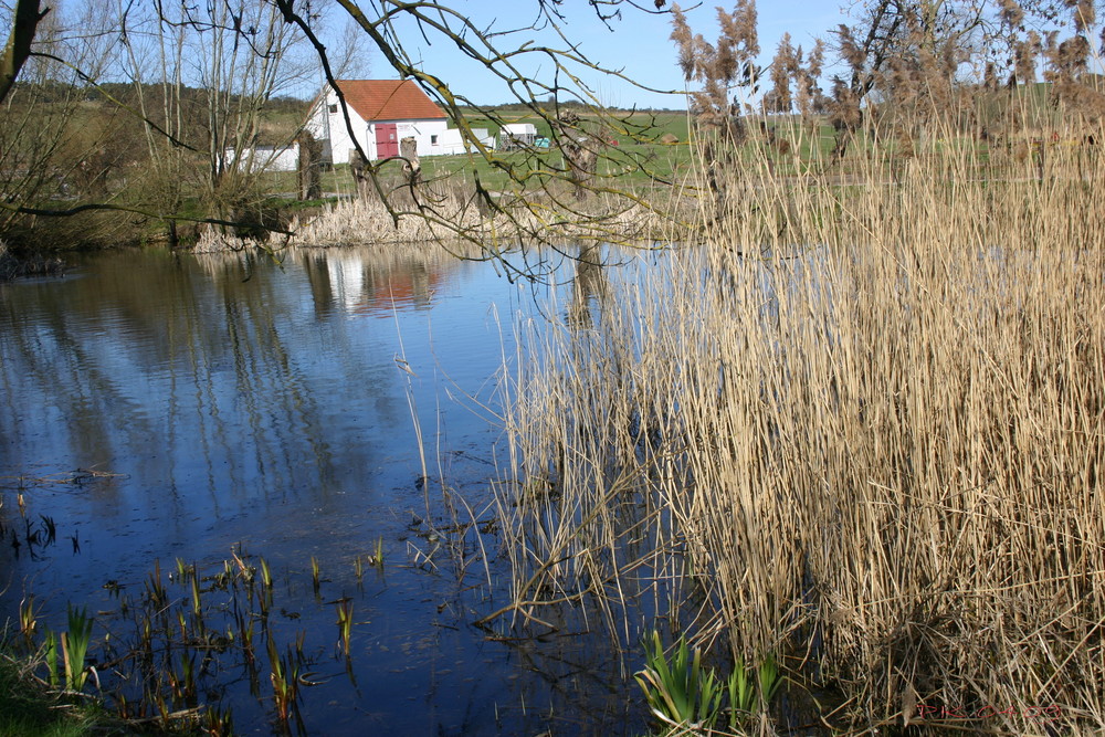 Insel Hittensee