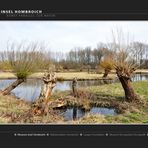 Insel Hombroich -41-