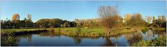 Insel Hombroich -88-