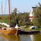 Insel im Barther Bodden