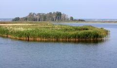 Insel im Bodden