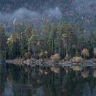 Insel im Eibsee (1)