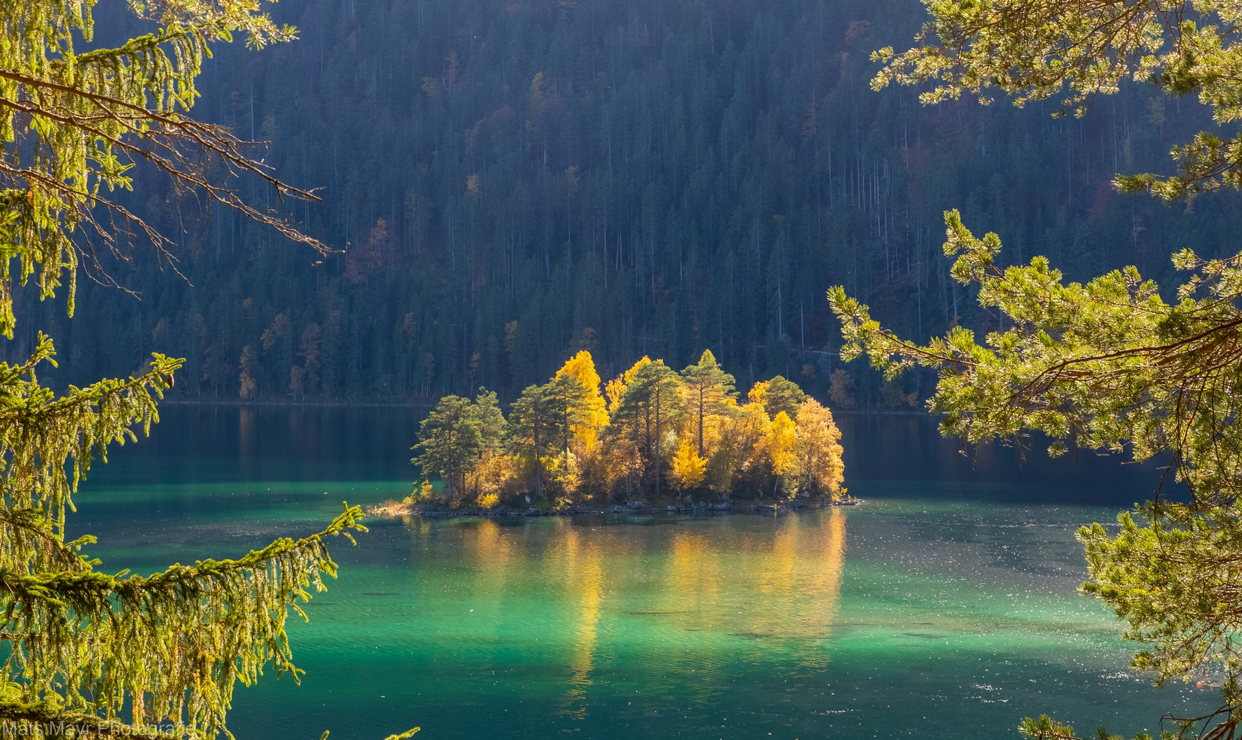 Insel im Eibsee