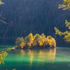 Insel im Eibsee