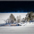 Insel im Eibsee