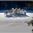 Insel im Eibsee