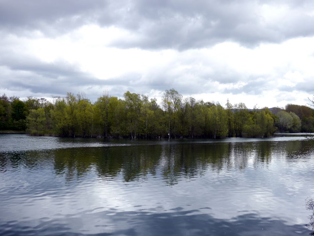 Insel im Erlensee bei Bickenbach