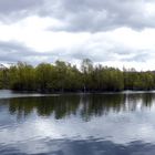 Insel im Erlensee bei Bickenbach