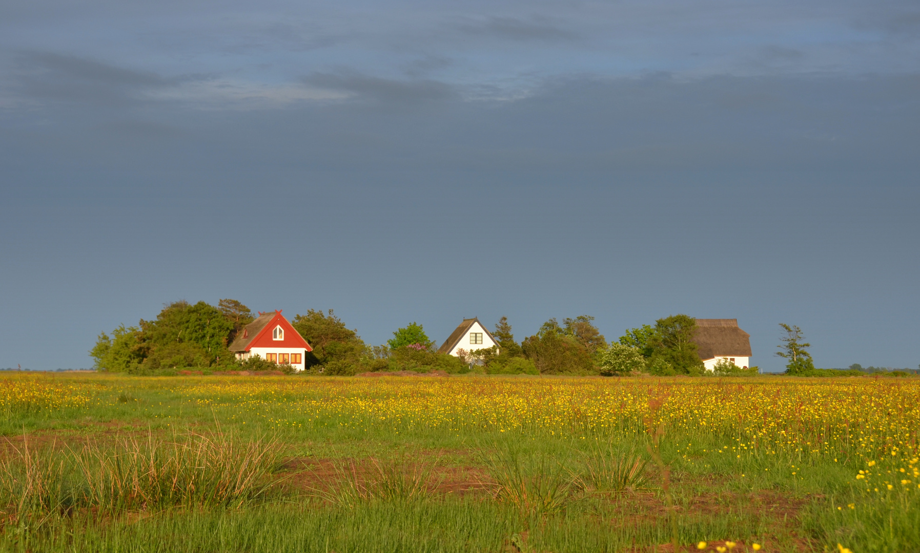 Insel im Farbenrausch