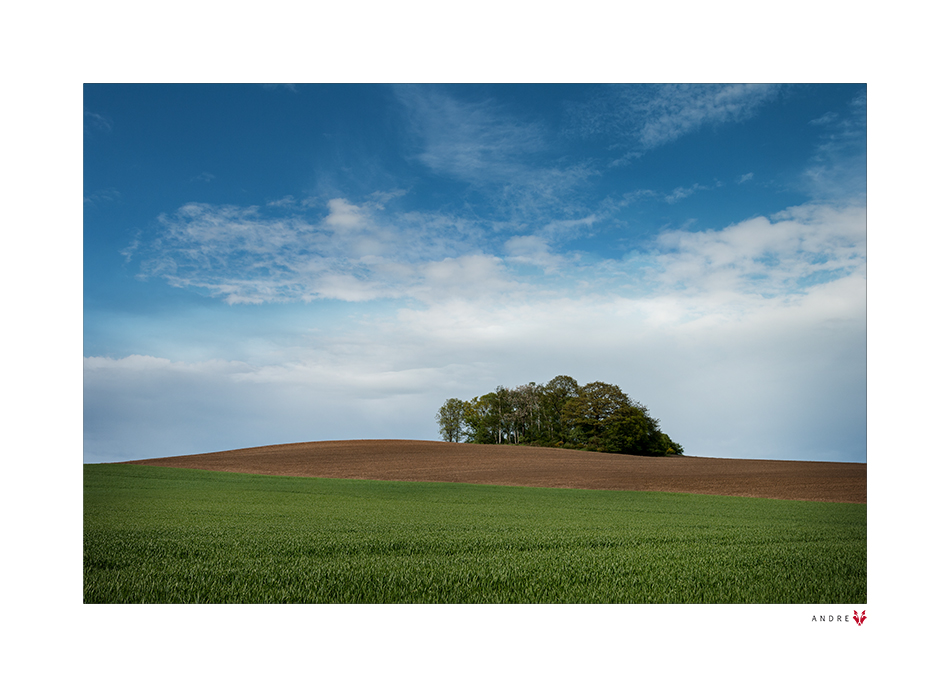 INSEL IM FELD