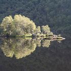 Insel im Fjord (Norwegen)