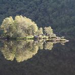 Insel im Fjord (Norwegen)