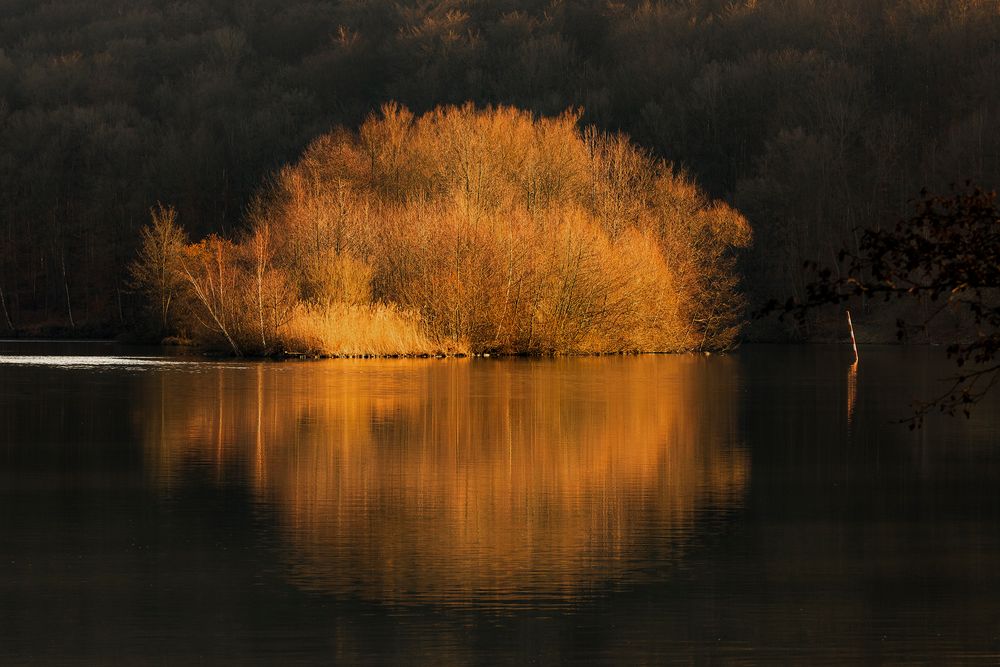 Insel im Fluss