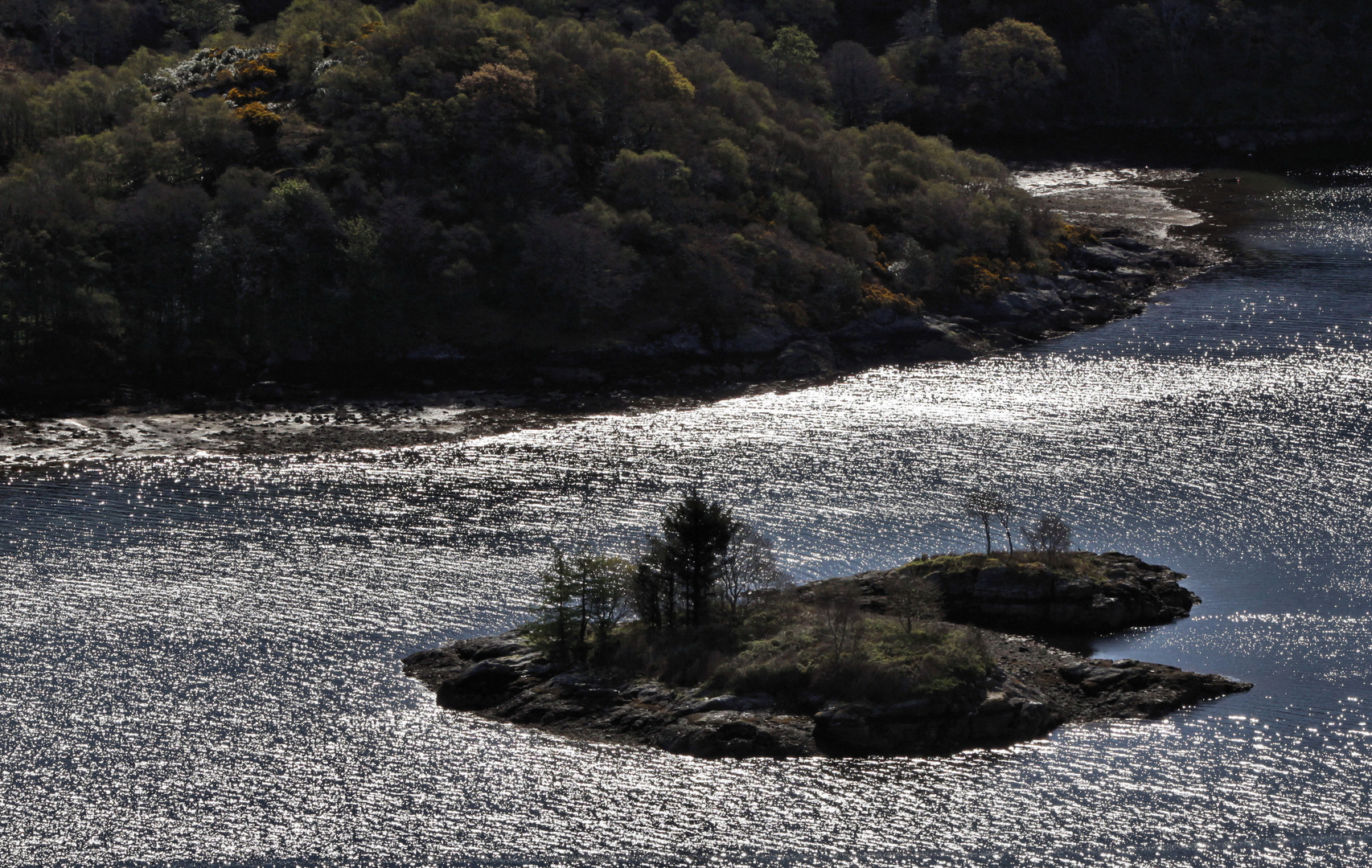 Insel im Gegenlicht