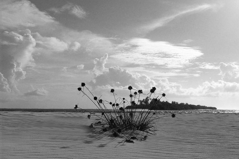 Insel im Hintergrund