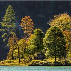 Insel im Königsee