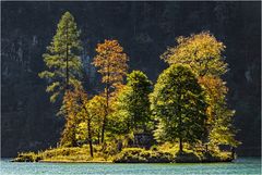 Insel im Königsee