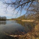 Insel im Kreuzteich