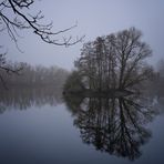 Insel im Kreuzteich