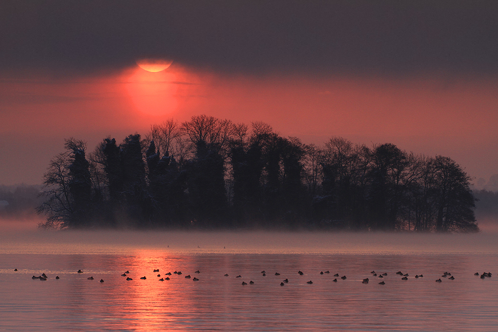 Insel im Licht