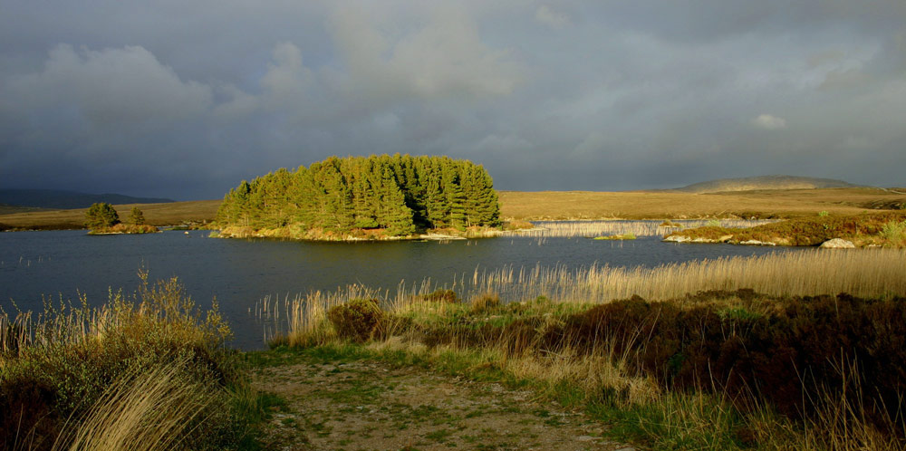 Insel im Licht