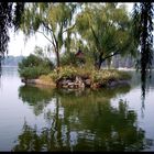 Insel im Longtan Park