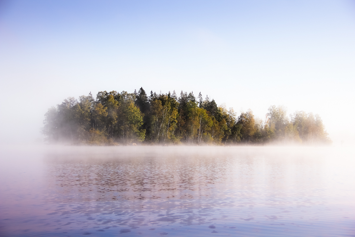 Insel im Morgennebel