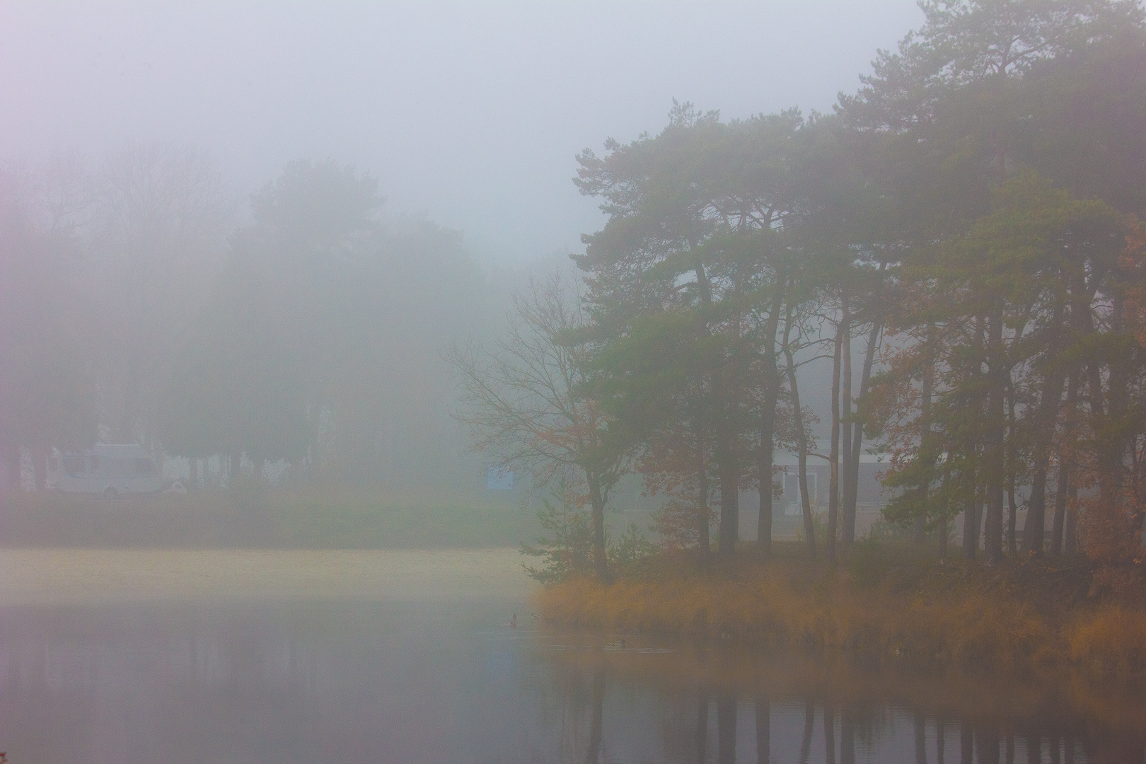 Insel im Nebel 2