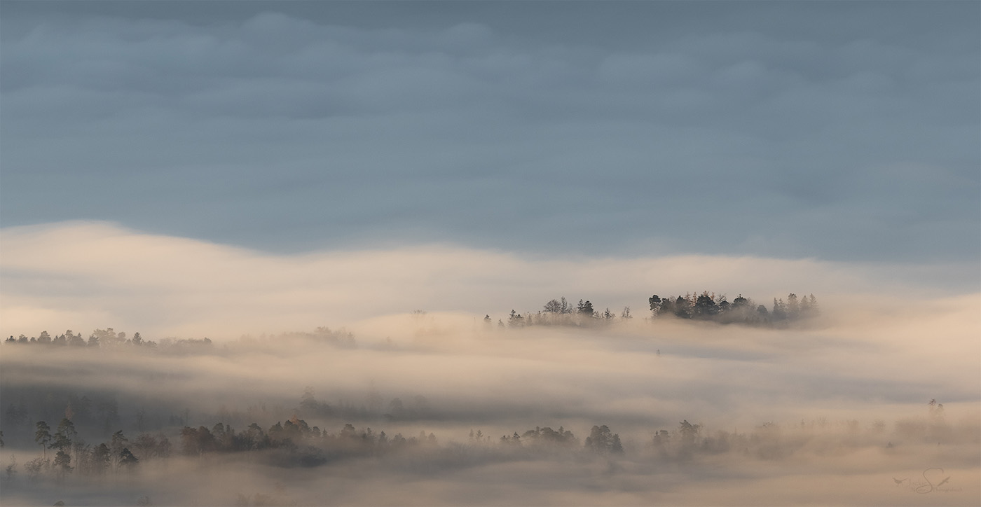 Insel im Nebel