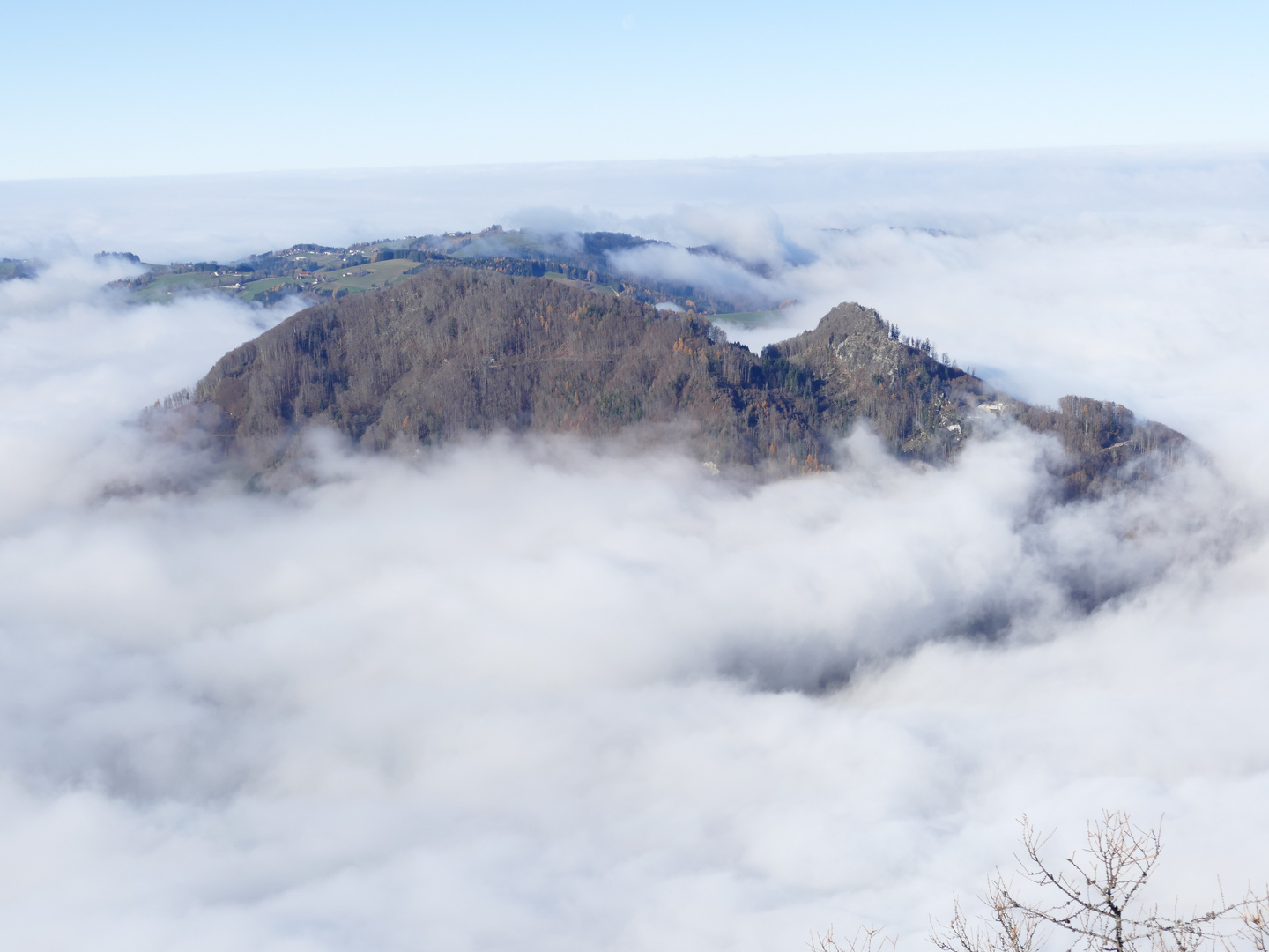 Insel im Nebel