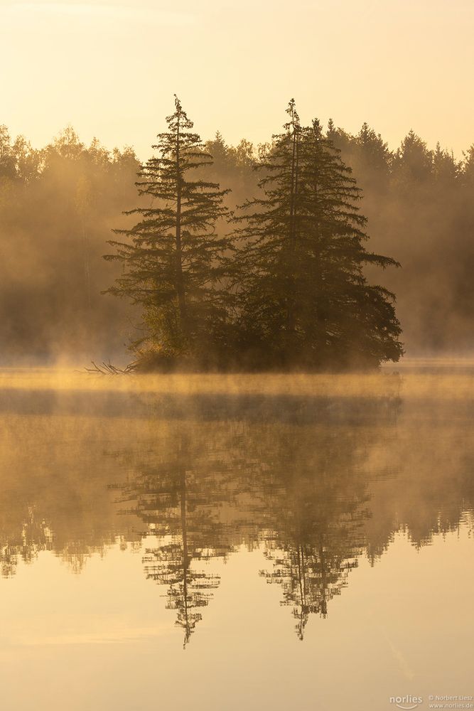 Insel im Nebel