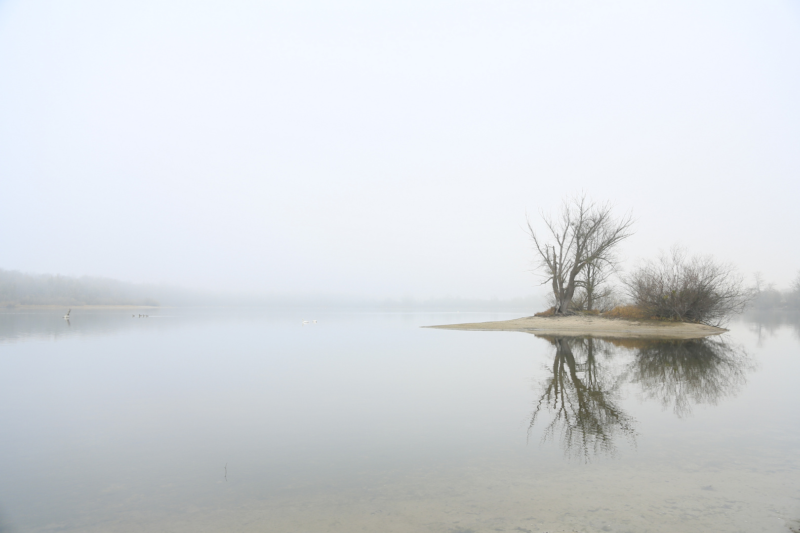 Insel im Nebel....