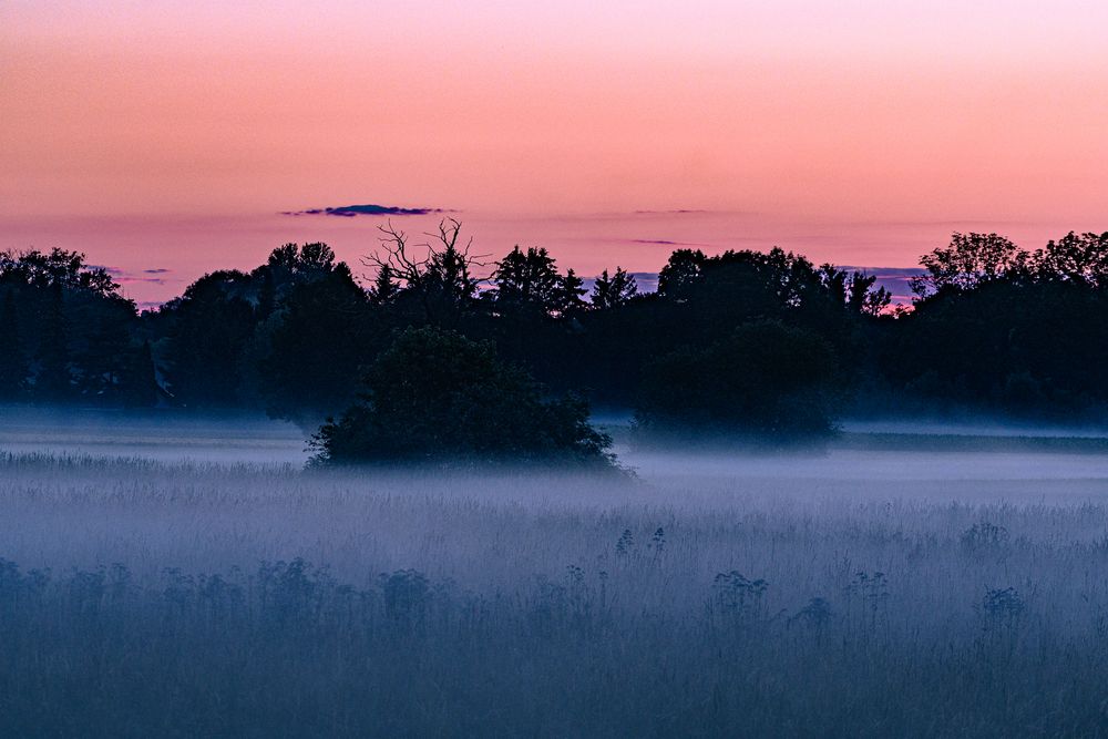 Insel im Nebel