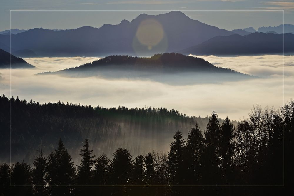 Insel im Nebel von frau rossi 