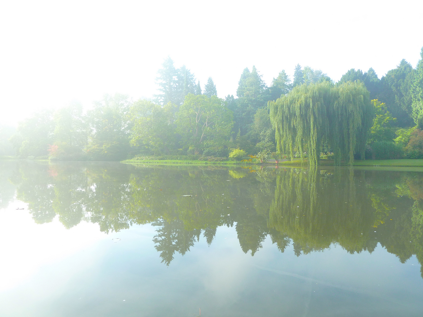 Insel im Nebel