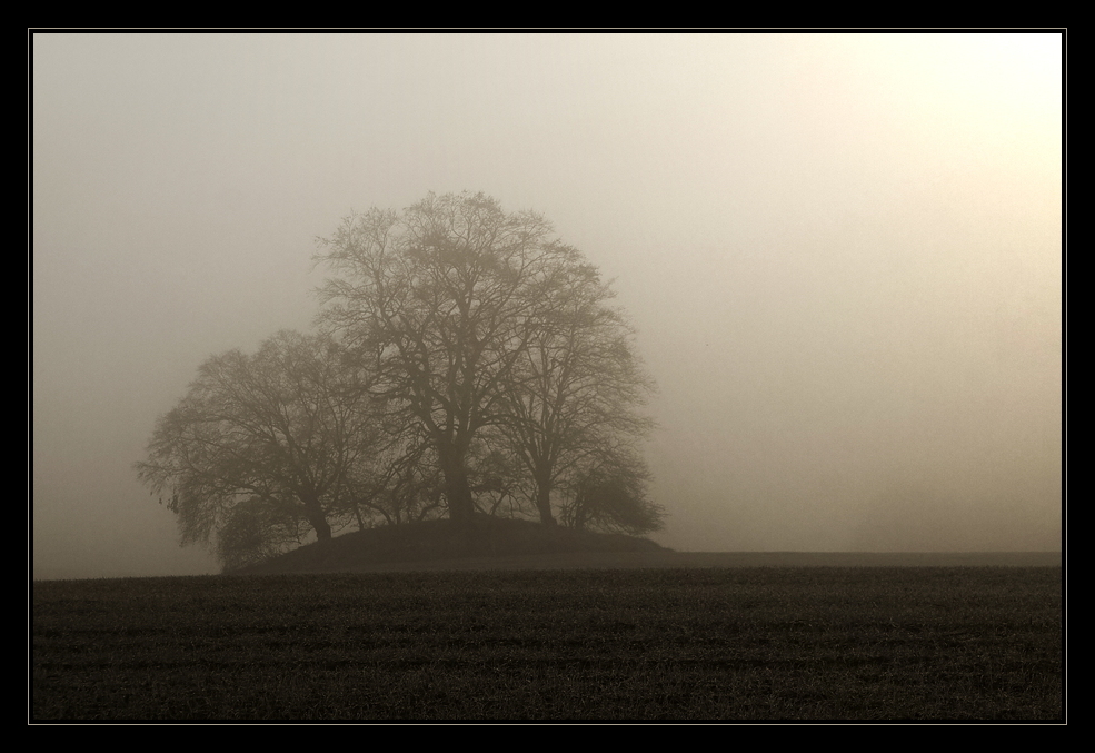 Insel im Nebel