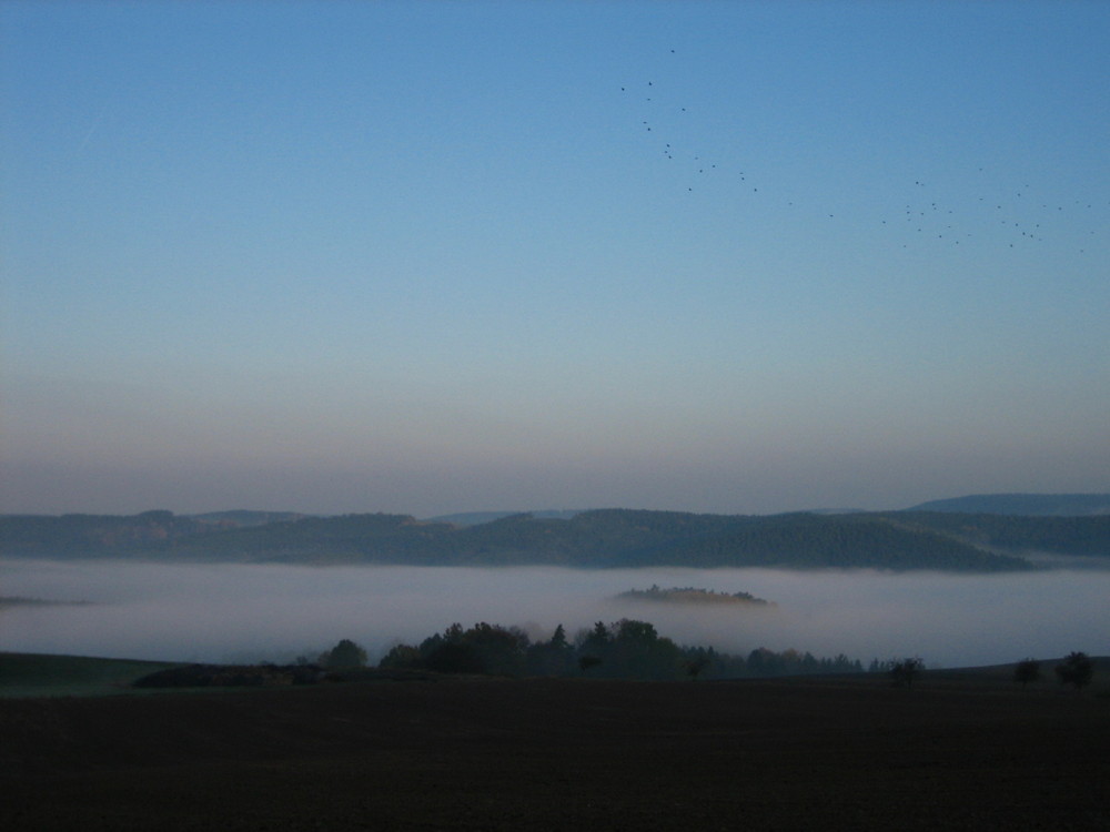 Insel im Nebel