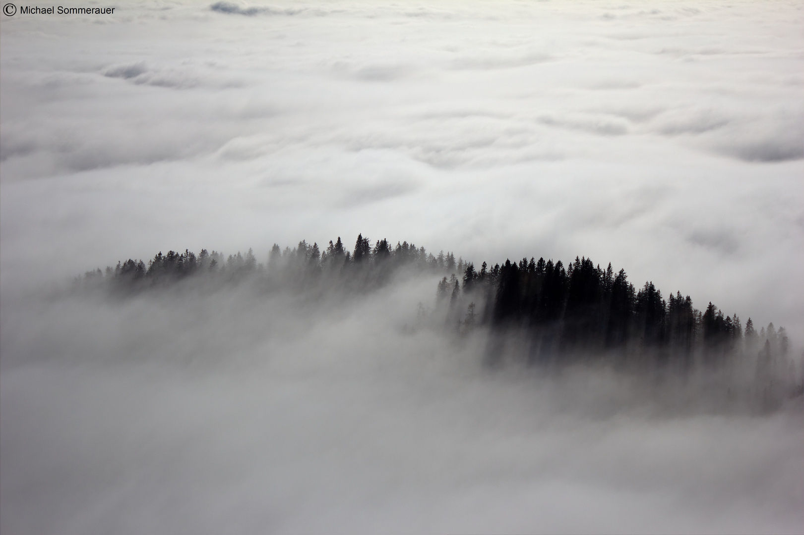 Insel im Nebelmeer