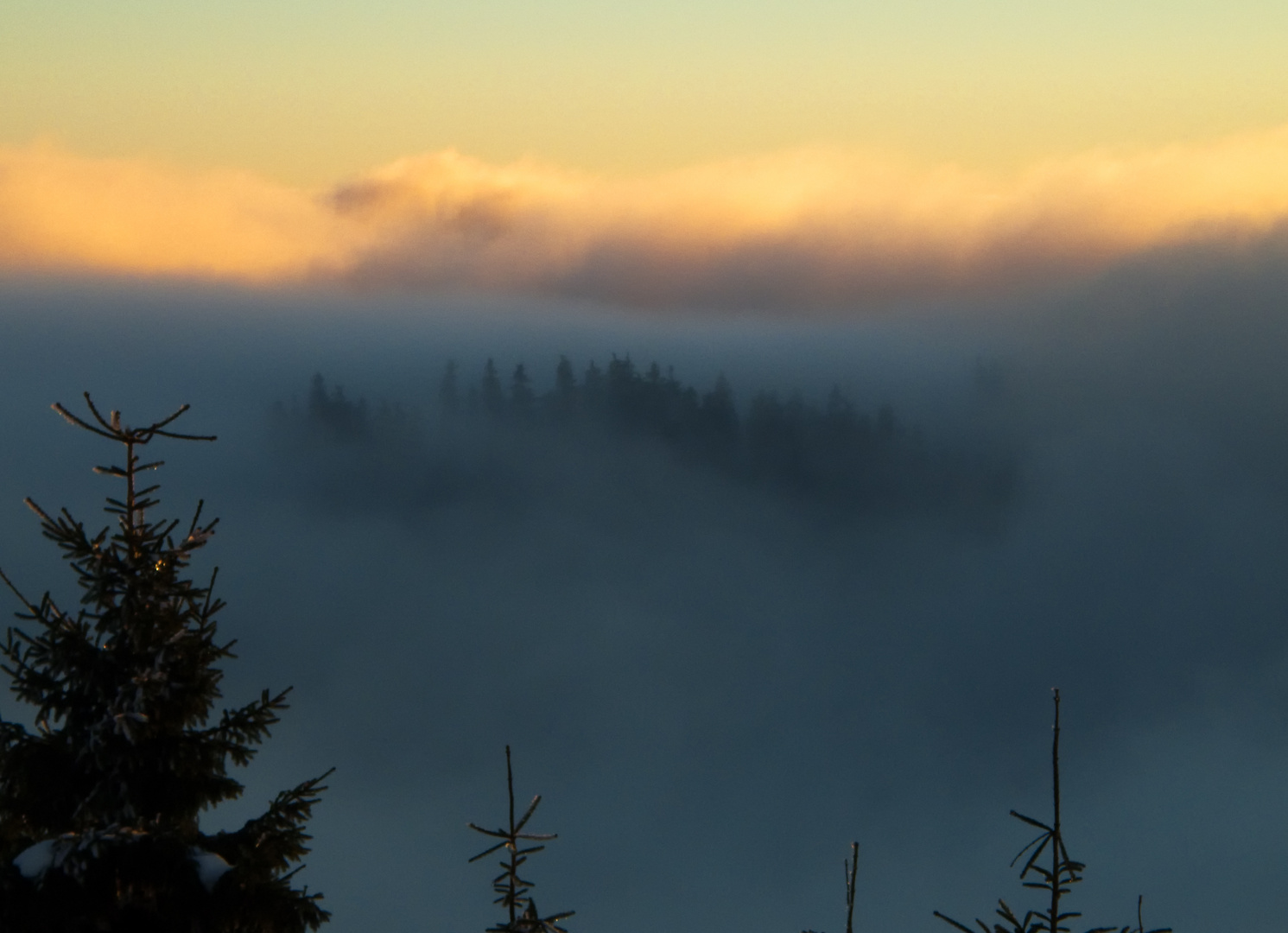 Insel im Nebelmeer