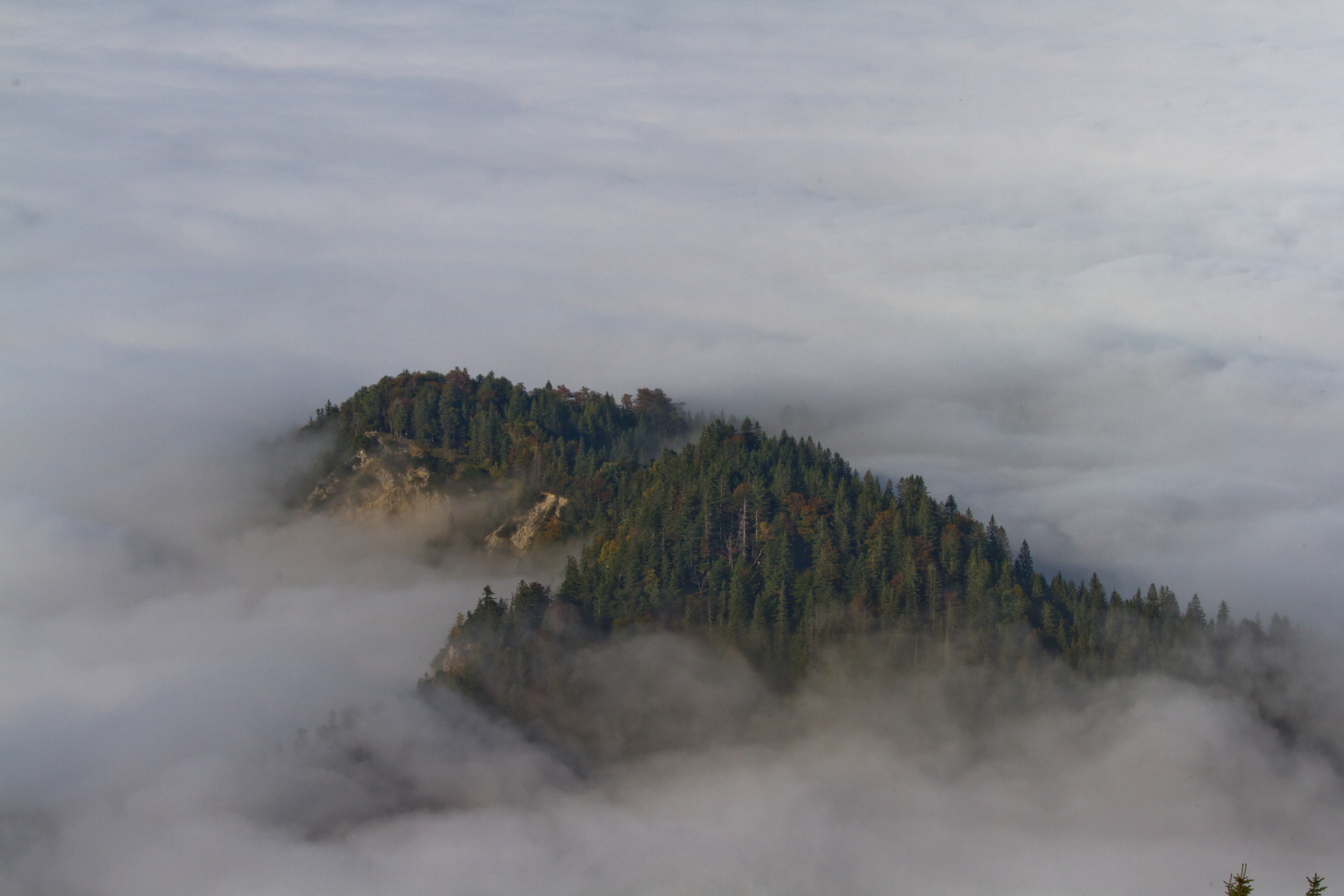 Insel im Nebelmeer