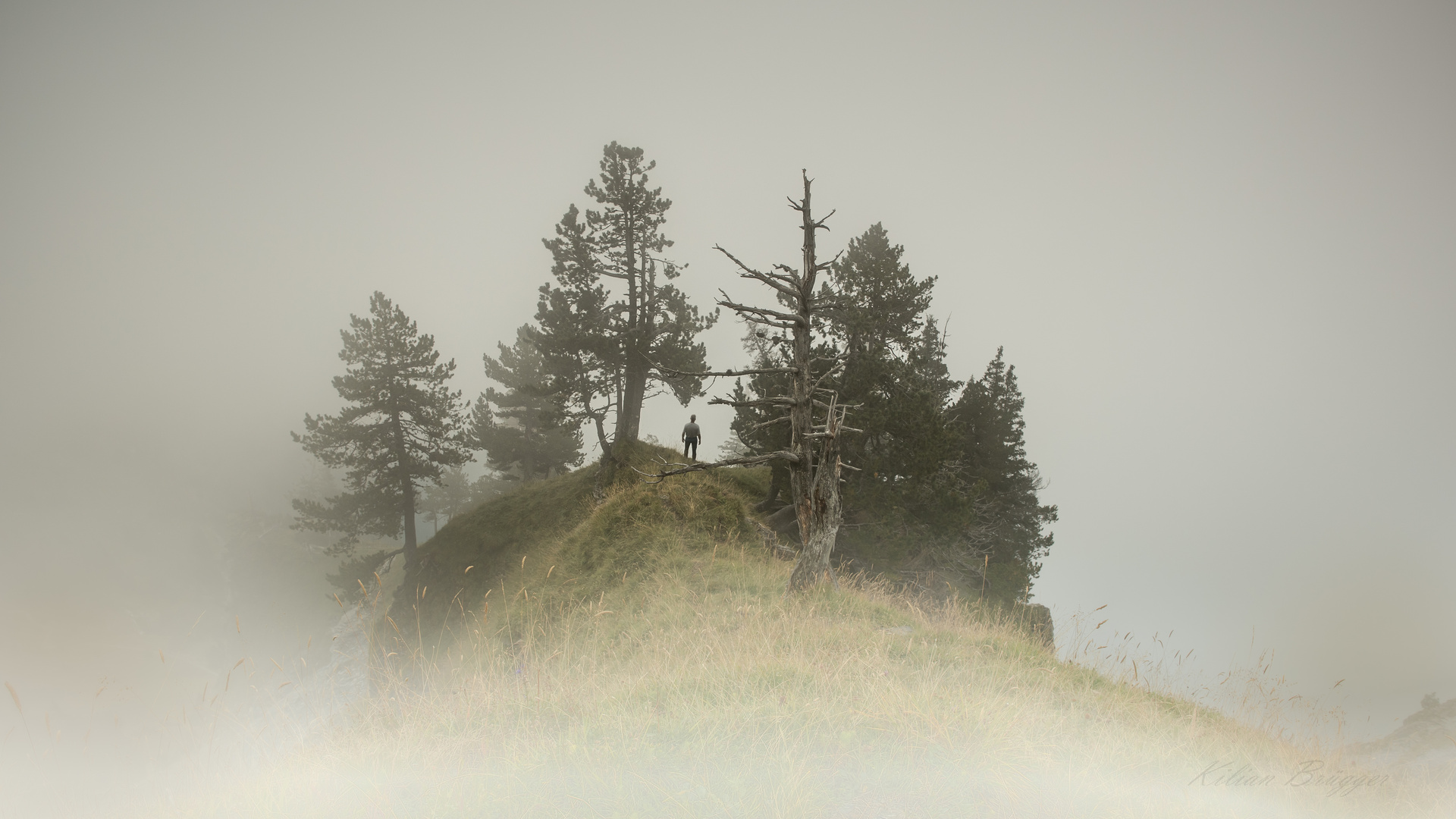 Insel im Nebelmeer