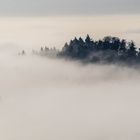 Insel im Nebelmeer