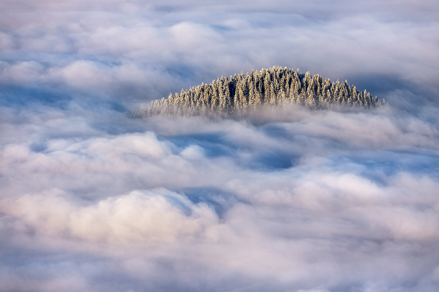 insel im nebelmeer