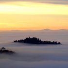 Insel im Nebelmeer