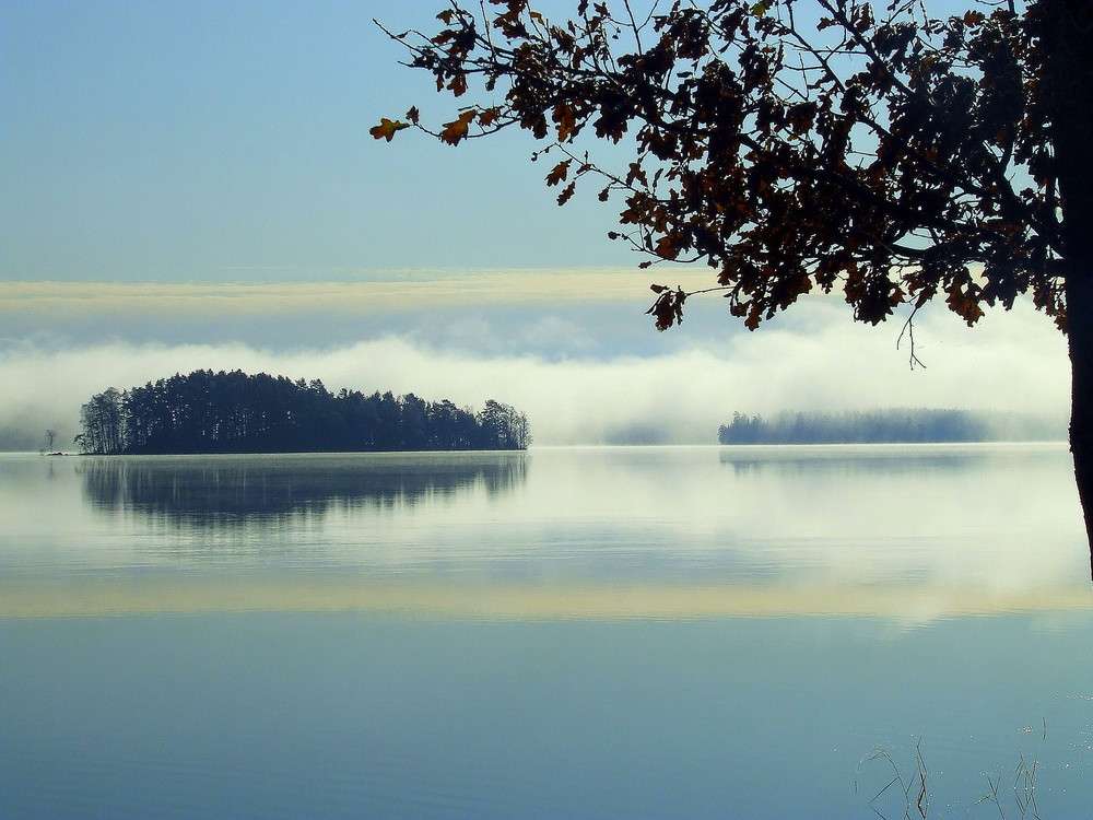 Insel im November