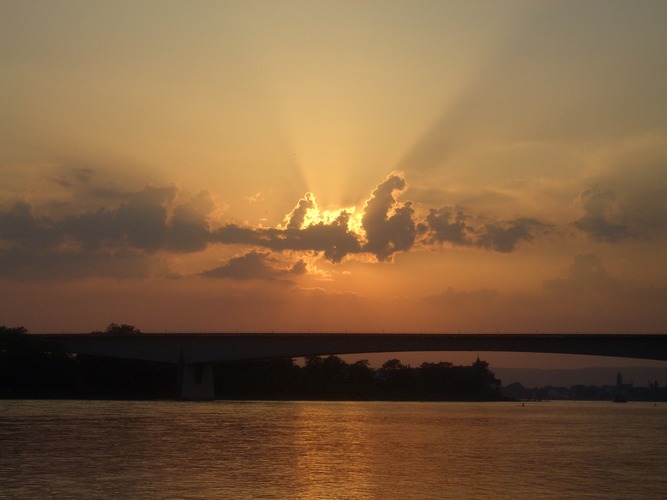 Insel im Rhein