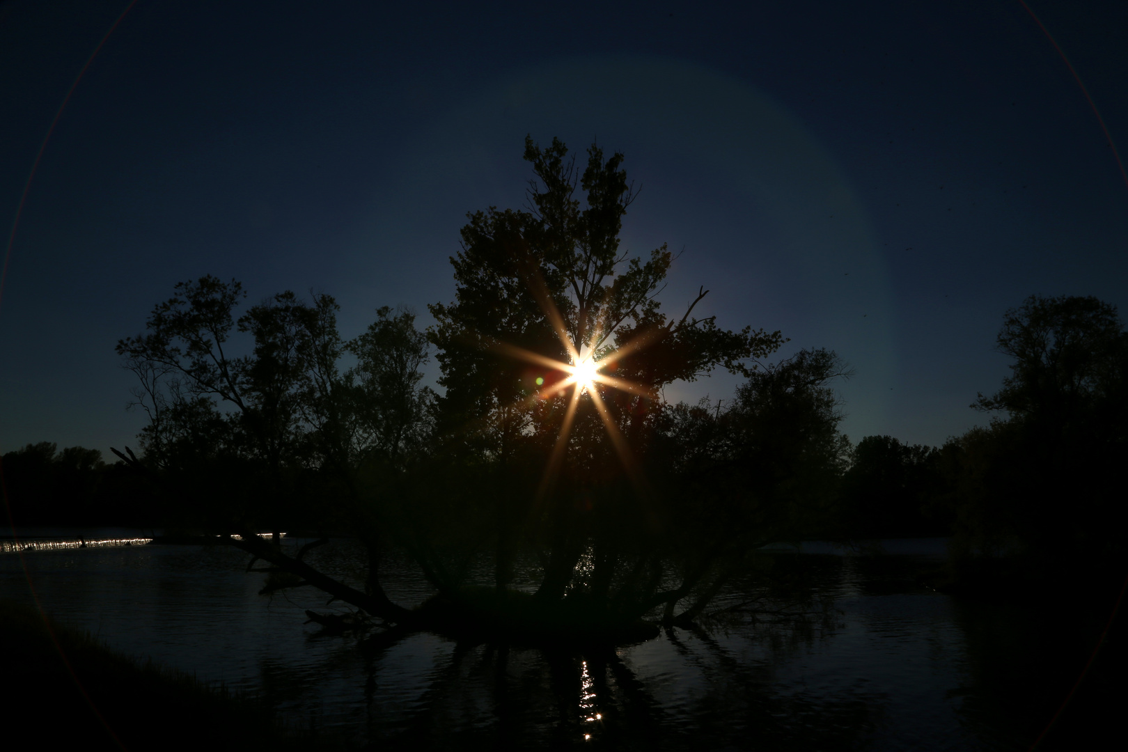 Insel im Rhein